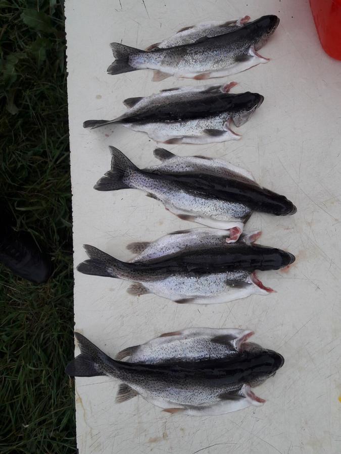 Fish Hotel Akhalkalaki Εξωτερικό φωτογραφία